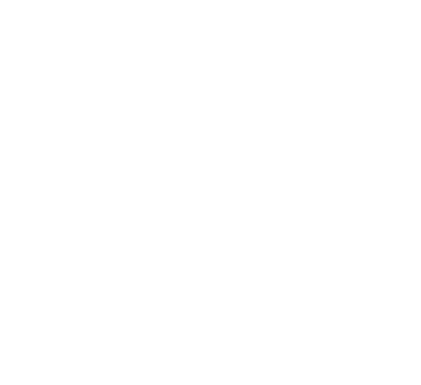 Snow Holdings Limited