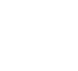 Snow Holdings Limited